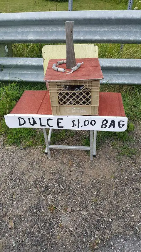 Dulse Box